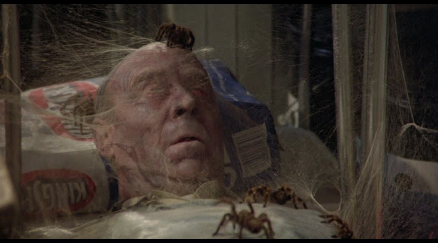kingdom-of-the-spiders - Kingdom-Death-spider.jpg